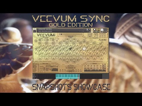 Audiofier Veevum Sync - Gold Edition (Digital product) Audiofier Veevum Sync - Gold Edition (Digital Product) -Prominy Shop hqdefault 241