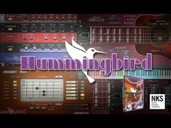 Prominy Hummingbird (Digital Product) -Prominy Shop hqdefault 4