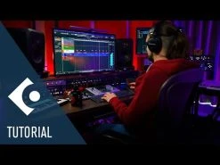 Steinberg Cubase Elements 12 21 Steinberg Cubase Elements 12 -Prominy Shop hqdefault 534
