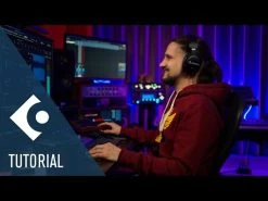 Steinberg Cubase Artist 12 EDU -Prominy Shop hqdefault 553