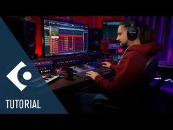 Steinberg Cubase Artist 12 Upgrade AI 16 Steinberg Cubase Artist 12 Upgrade AI -Prominy Shop hqdefault 587