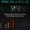 Cherry Audio FM Bundle (Digital Product)