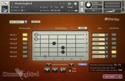 Prominy Hummingbird (Digital Product) -Prominy Shop thumb d gallery base 7d17aa62