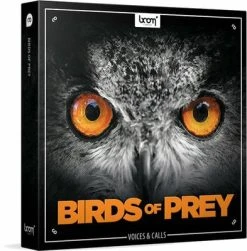 BOOM Library Birds Of Prey (Digital Product)
