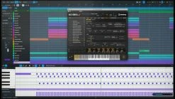 Steinberg Dorico Pro 4 EDU Crossgrade -Prominy Shop thumb d gallery base f9e1165e