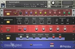 Prominy Hummingbird (Digital Product) -Prominy Shop thumb d gallery base fb15f0a3